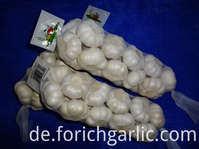 Good Quality Pure Garlic